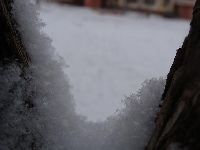 Без слов