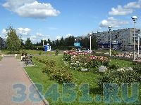 Без слов