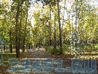 Без слов