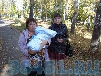 Без слов