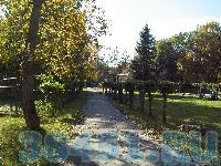 Без слов
