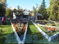 Без слов