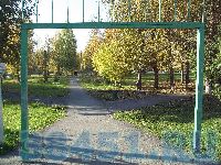 Без слов