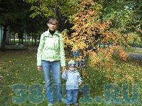 Без слов