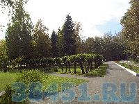 Без слов