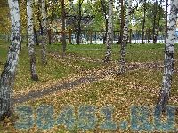 Без слов