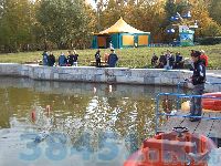 Без слов