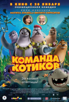 Команда котиков Команда котиков