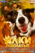 Елки лохматые Елки лохматые