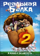 Реальная белка 2 Реальная белка 2