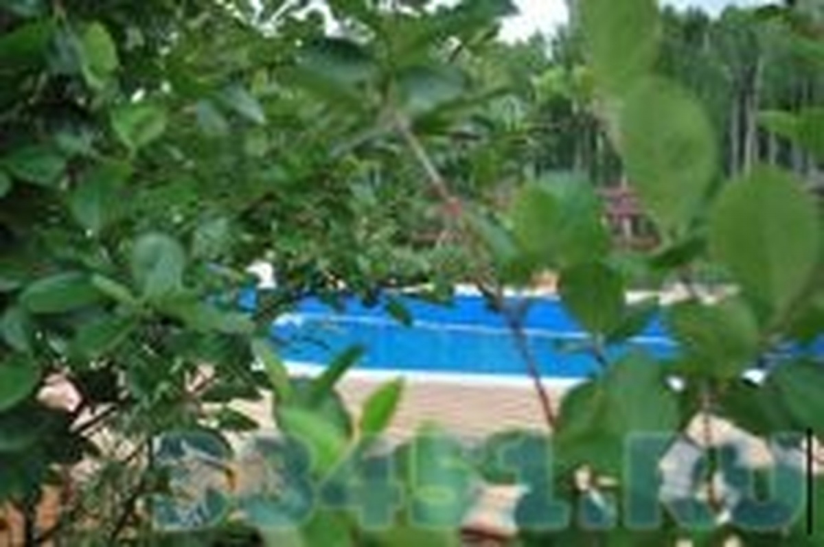 База отдыха «Пасека»
